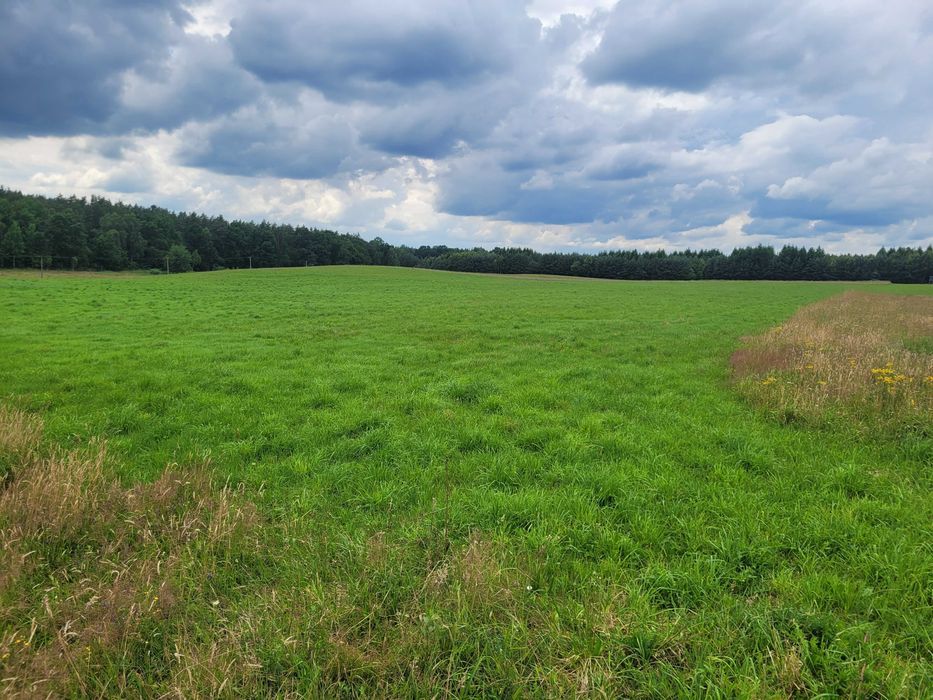 Działka rolna Sierakowo Sławieńskie. Zdjęcie 7