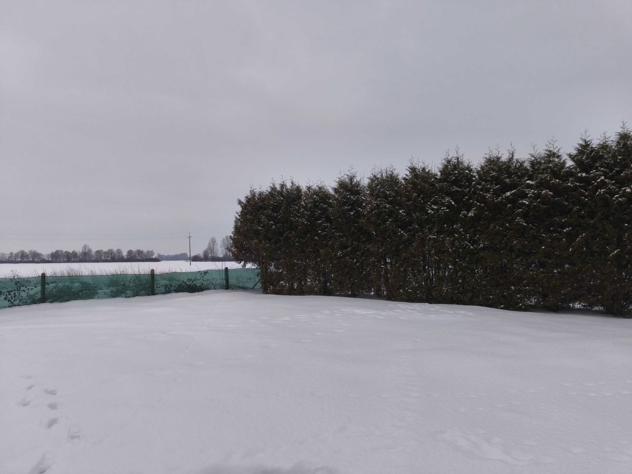 Działka budowlana Cedry Wielkie. Zdjęcie 5