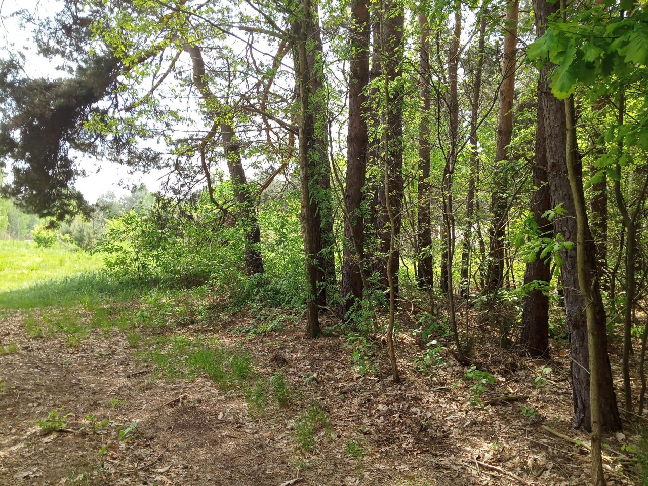 Działka budowlana Bieniewiec, ul. Barwna. Zdjęcie 7