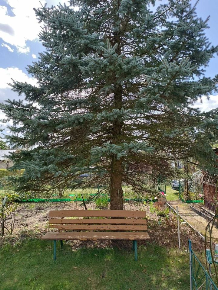 Działka rod Siedlce. Zdjęcie 3