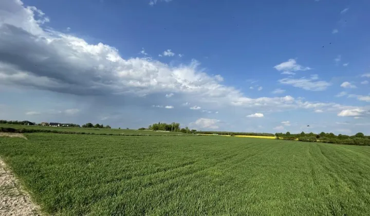 Działka budowlana Stara Wieś