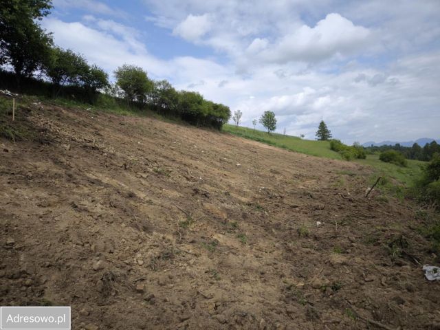 Działka inwestycyjna Szlembark, ul. Tadeusza Kulisiewicza. Zdjęcie 1