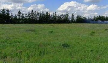 Działka budowlana Piotrków Trybunalski, ul. Tomaszowska