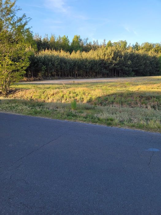 Działka budowlana Kuźnica Grabowska. Zdjęcie 8