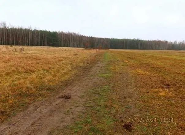 Działka rolna Jamki. Zdjęcie 4