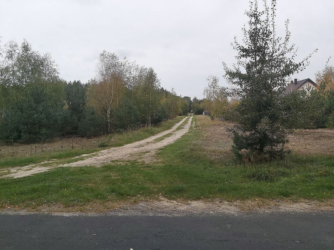 Działka budowlana Kuźnica. Zdjęcie 2