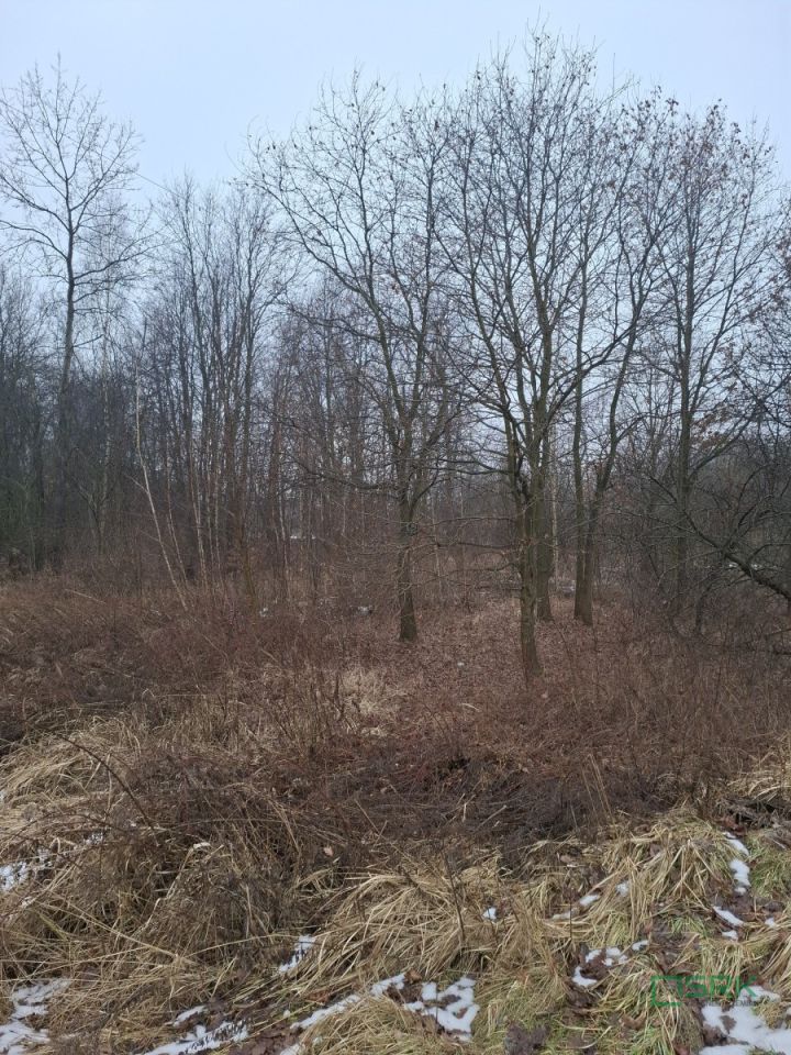 Działka Brzeszcze, ul. Przecieszyńska. Zdjęcie 2