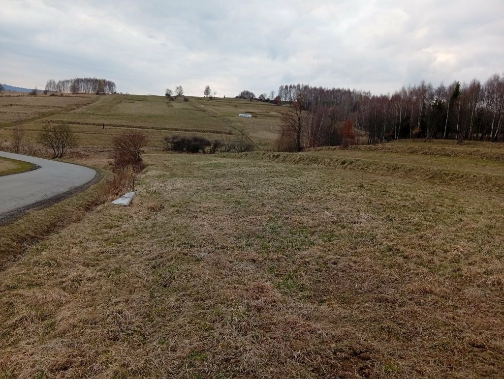 Działka budowlana Krzeszów. Zdjęcie 7