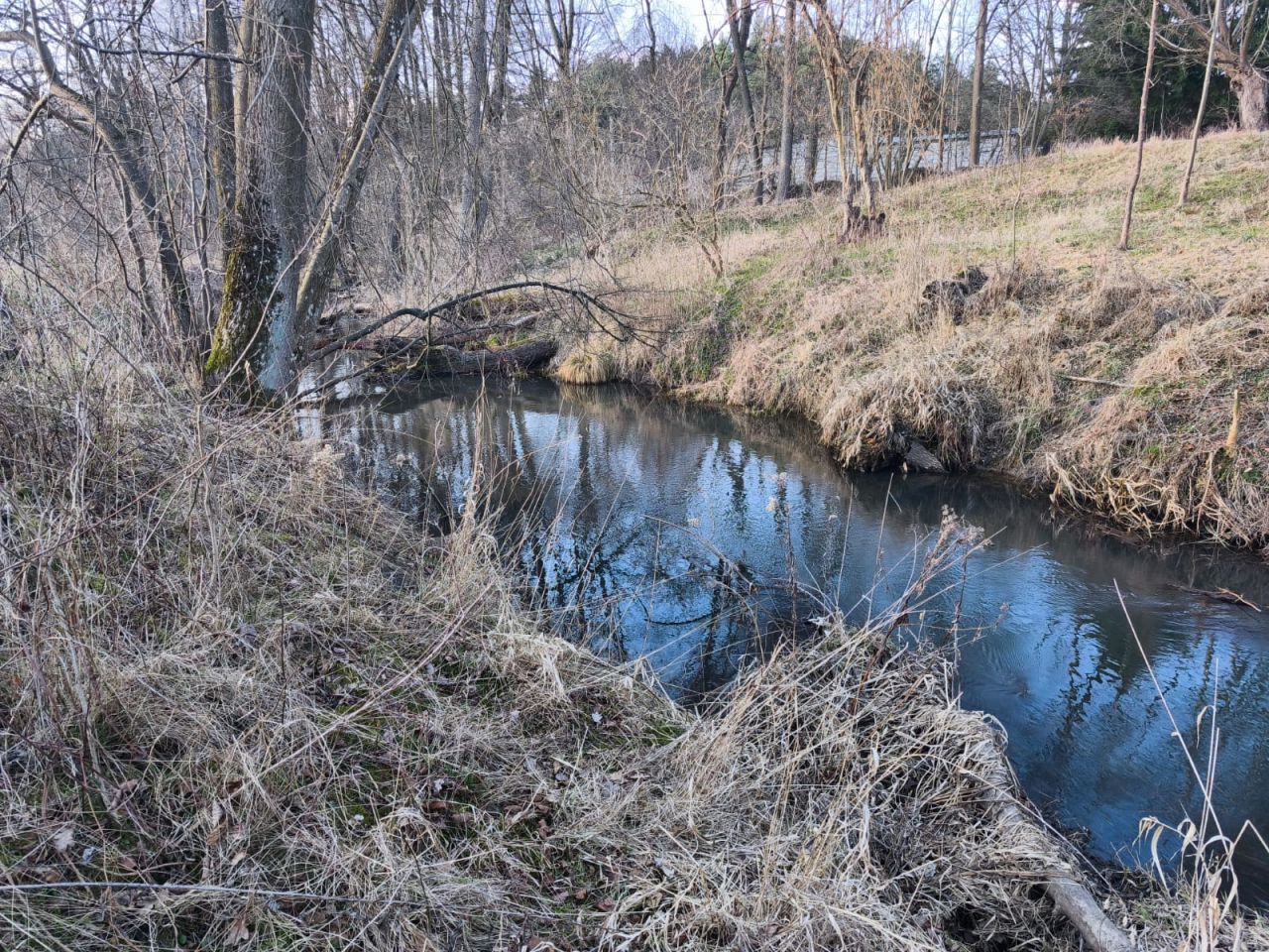 Działka rekreacyjna Rządza, Złota. Zdjęcie 6
