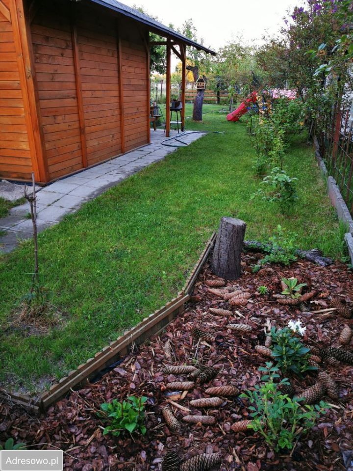 Działka rod Wrocław Psie Pole, ul. Kątowa. Zdjęcie 4