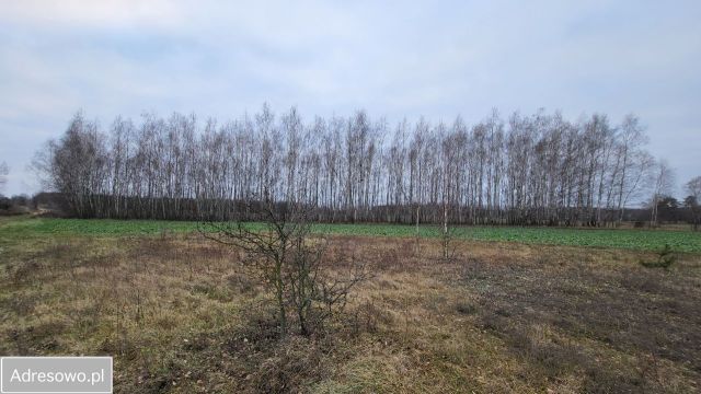 Działka rolno-budowlana Nowy Rzędków. Zdjęcie 1