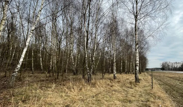 Działka inwestycyjna Łódź Widzew, ul. Jugosłowiańska