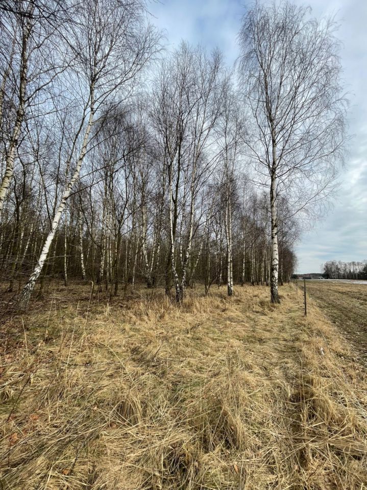 Działka inwestycyjna Łódź Widzew, ul. Jugosłowiańska