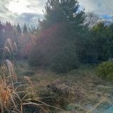 Działka rod Łaziska Górne Łaziska Średnie. Zdjęcie 2