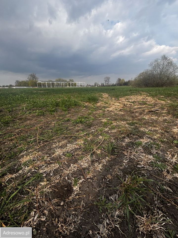 Działka rolna Ciechanów, ul. Henryka Sławika. Zdjęcie 4