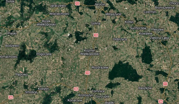 bliźniak Koźmin Wielkopolski