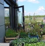 Lokal Miłoszyce, ul. Przylesie. Zdjęcie 3