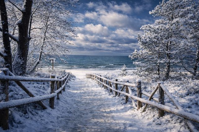 Mieszkanie 1-pokojowe Dębki, ul. Topolowa 1. Zdjęcie 1