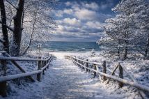 Mieszkanie 1-pokojowe Dębki, ul. Topolowa