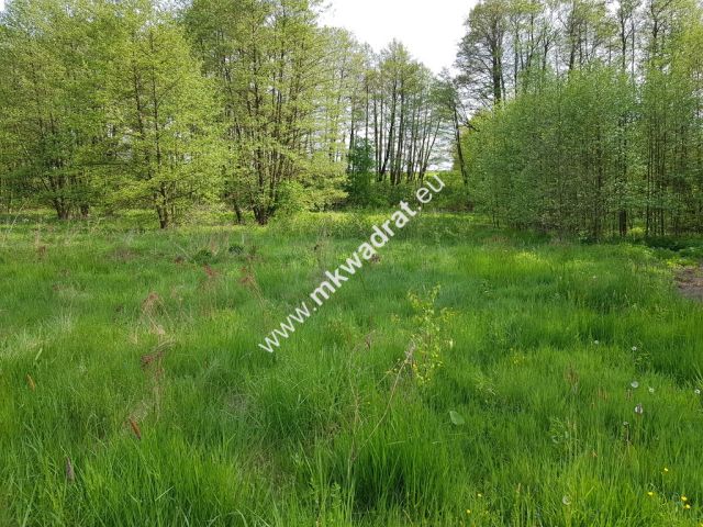 Działka budowlana Wola Pękoszewska. Zdjęcie 4