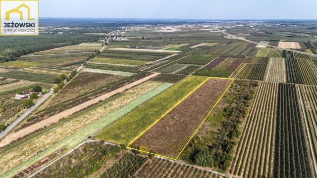 Działka rolna Kamień. Zdjęcie 5