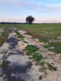 Działka budowlana Kazanów. Zdjęcie 3