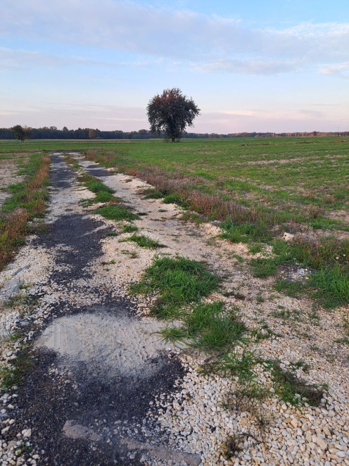 Działka budowlana Kazanów. Zdjęcie 4