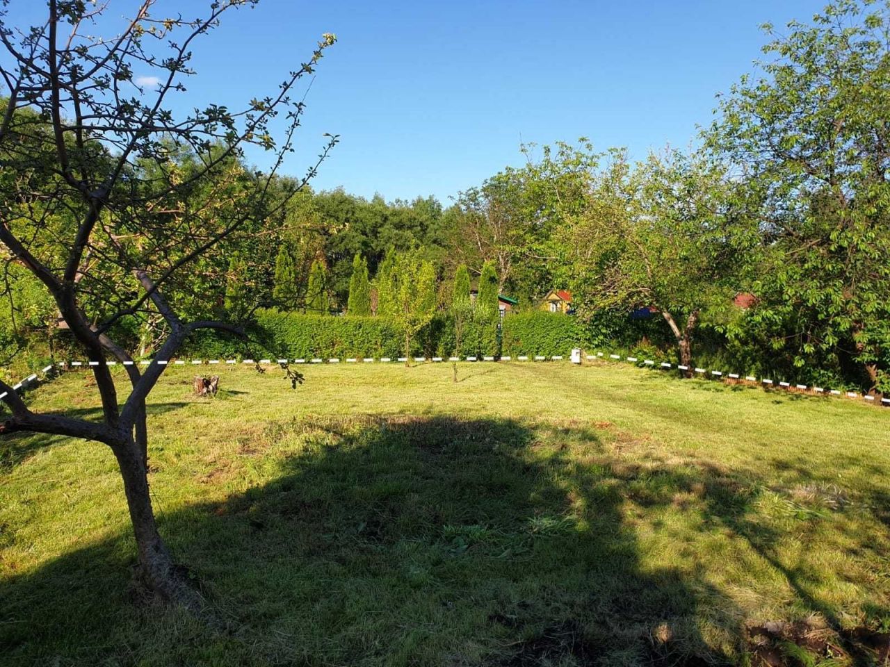 Działka rod Białystok Dojlidy, ul. Wilcza. Zdjęcie 2