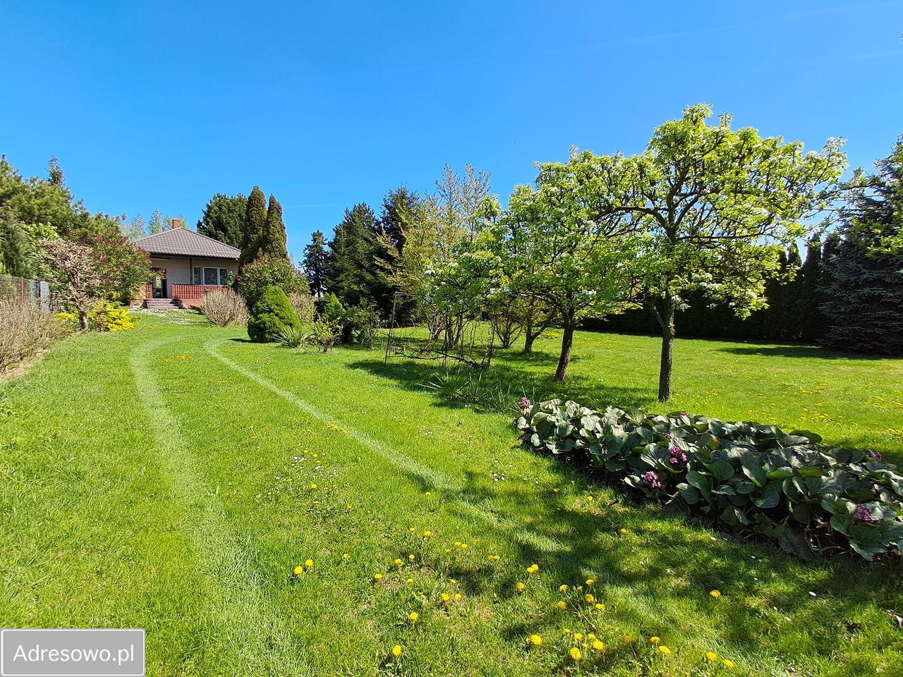 Działka budowlana Bogucin. Zdjęcie 17