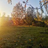 Działka budowlana Mława. Zdjęcie 2