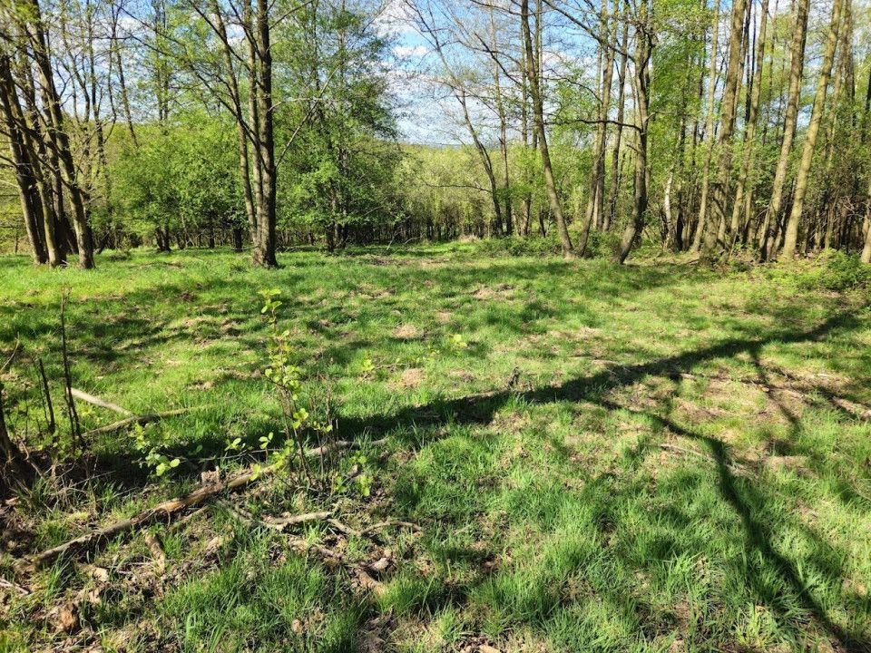 Działka rolna Kwaczała Kamionka Duża, ul. Widokowa. Zdjęcie 3