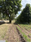 Działka budowlana Starorypin Rządowy. Zdjęcie 2