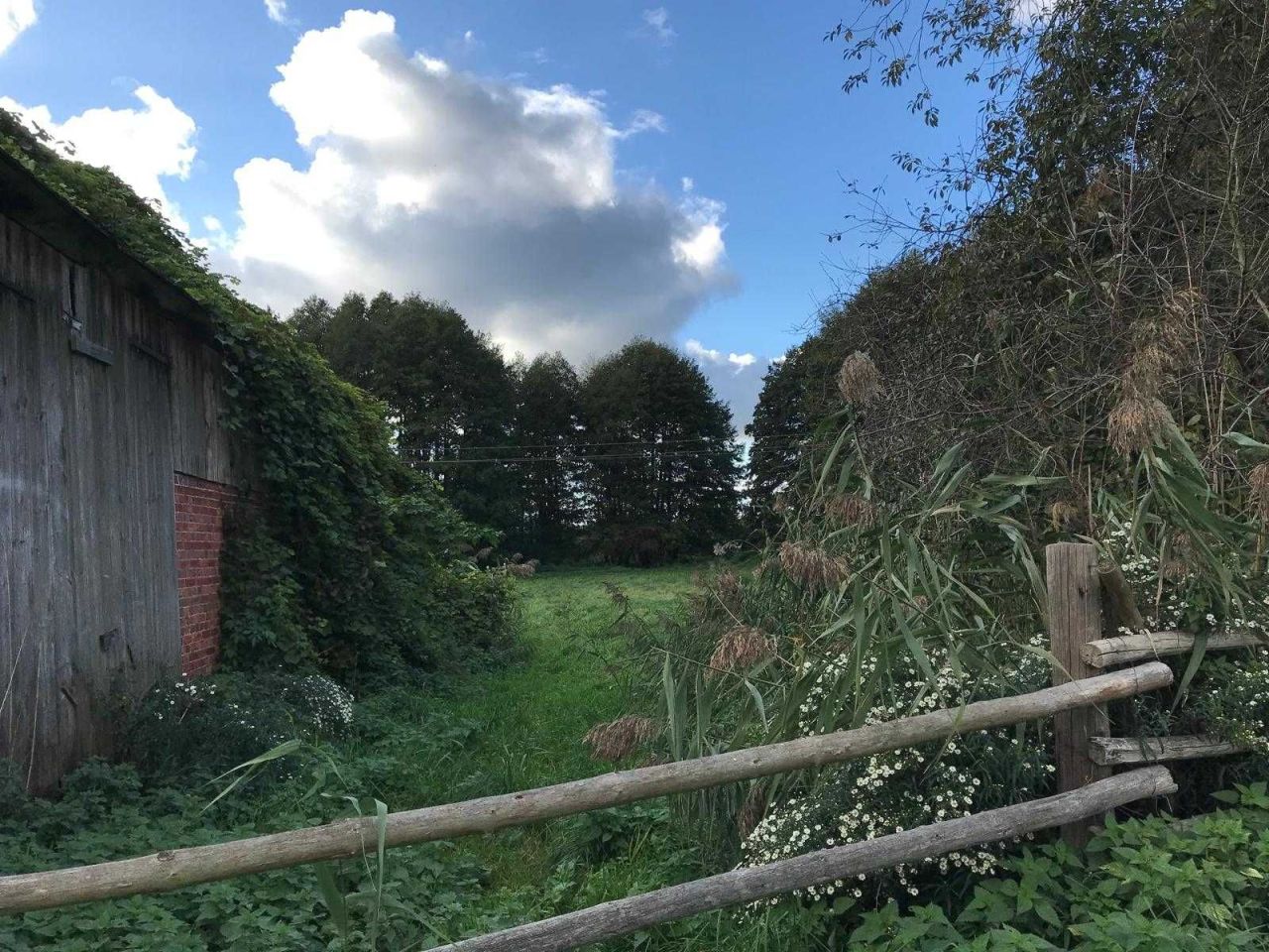 Działka rolno-budowlana Bagniewo. Zdjęcie 2