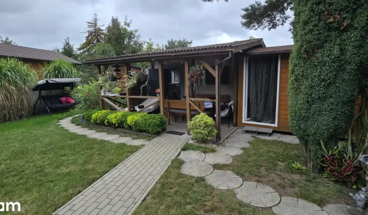 Działka rod Sosnowiec Sielec, ul. Jaskółek