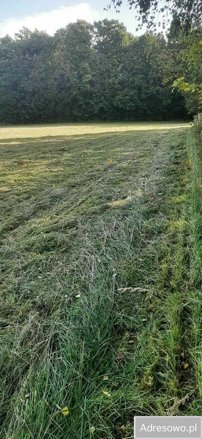 Działka budowlana Jaźwina Janczowice. Zdjęcie 5