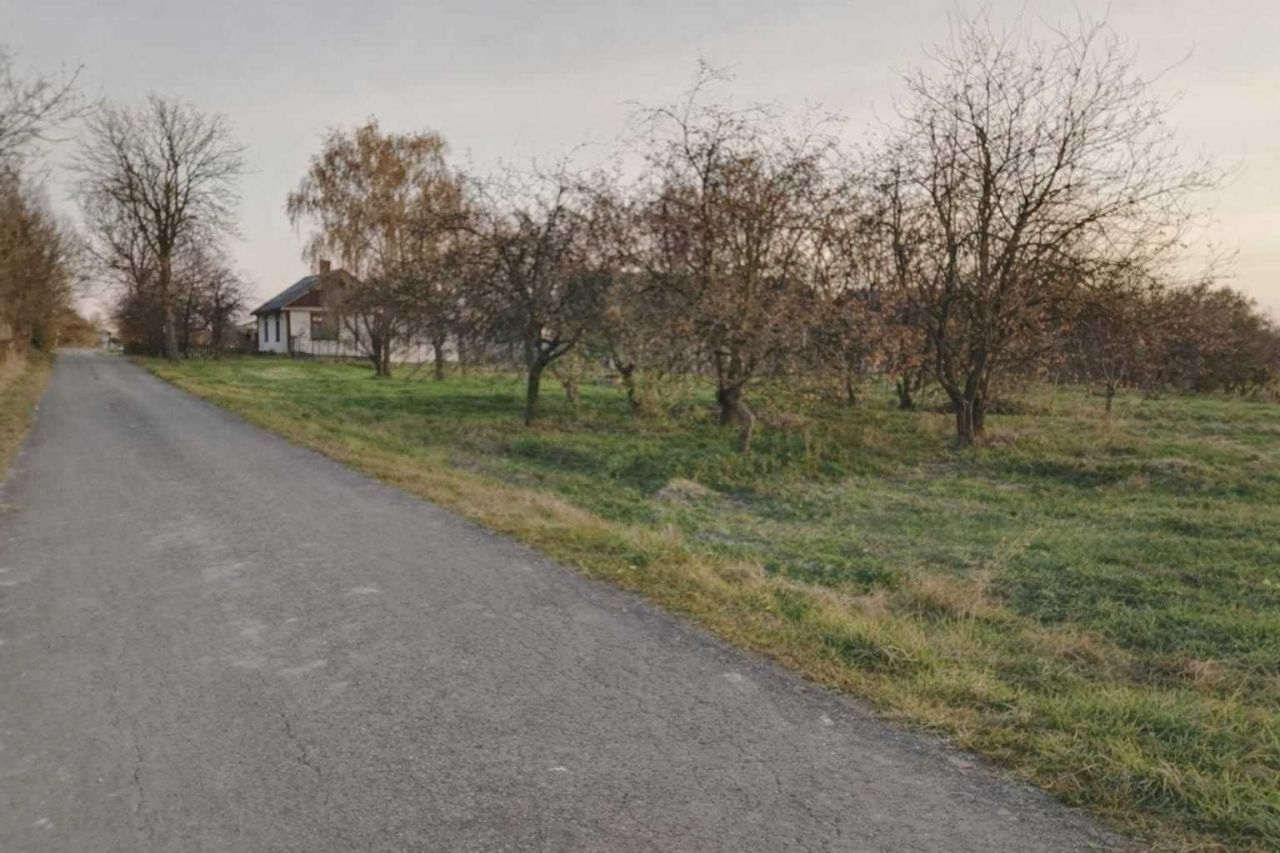 dom wolnostojący Chojno Nowe Drugie. Zdjęcie 4