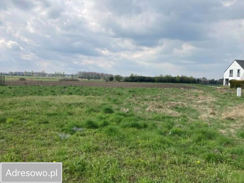 Działka budowlana Paniówki, ul. Zabrska. Zdjęcie 5