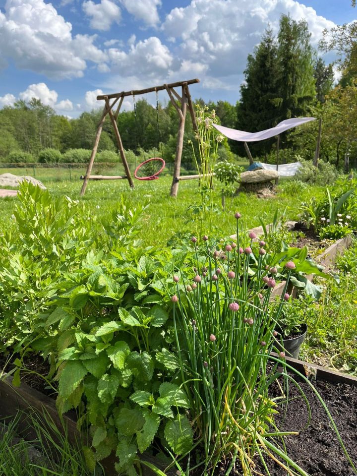 dom wolnostojący, 3 pokoje Dziewięcierz. Zdjęcie 2