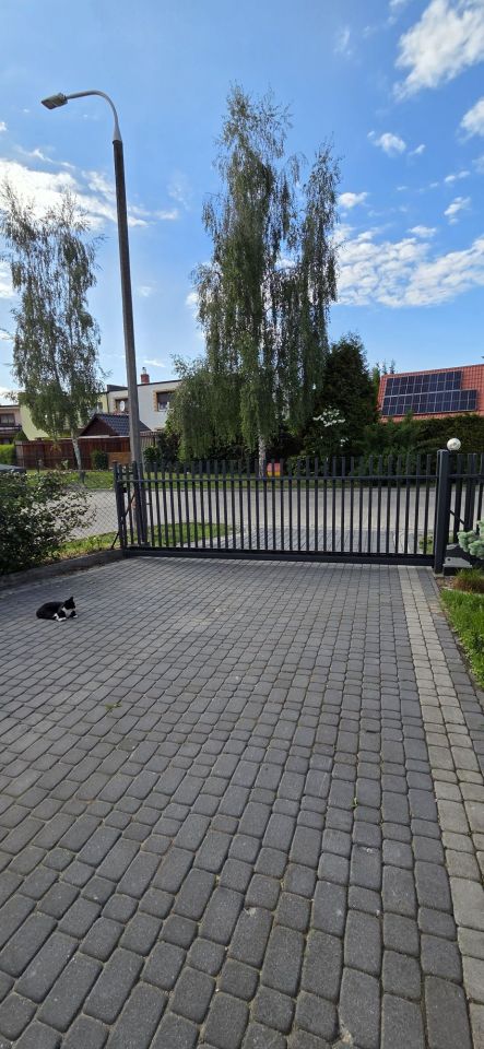 Lokal Świecie. Zdjęcie 8