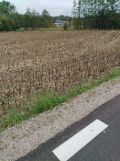 Działka rolno-budowlana Słomków, ul. Główna. Zdjęcie 2