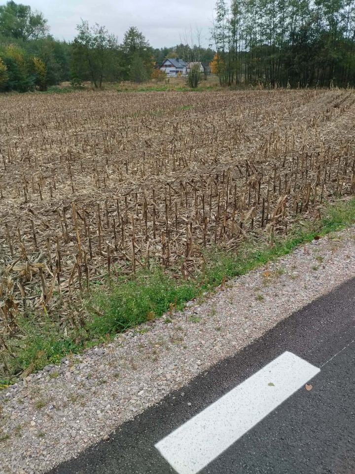 Działka rolno-budowlana Słomków, ul. Główna. Zdjęcie 3