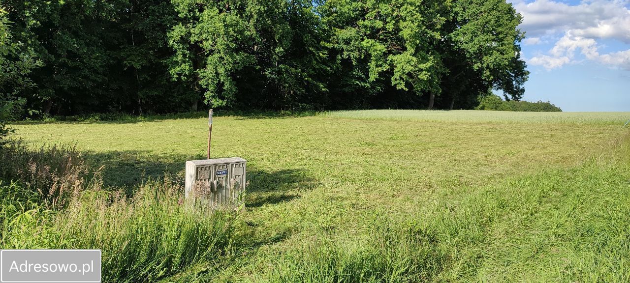 Działka budowlana Trąbki Wielkie, ul. Przemysłowa. Zdjęcie 3