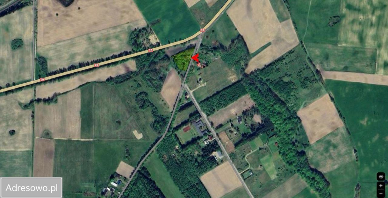 Działka inwestycyjna Silnowo. Zdjęcie 2