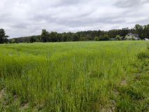 Działka siedliskowa Siedliska, ul. Pod Dębami. Zdjęcie 4