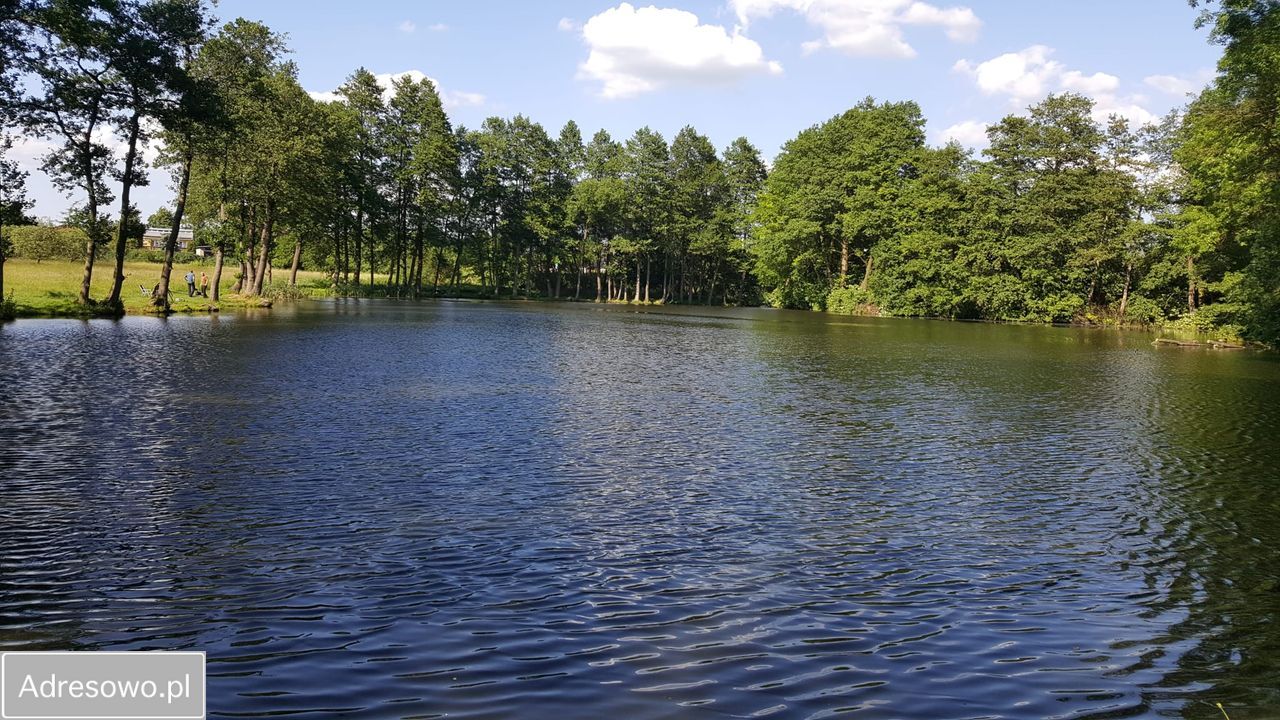 Działka inwestycyjna Żarki, ul. Koziegłowska. Zdjęcie 2