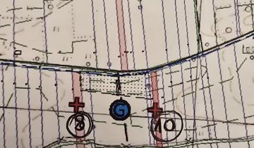 Działka rolna Przespolew Kościelny