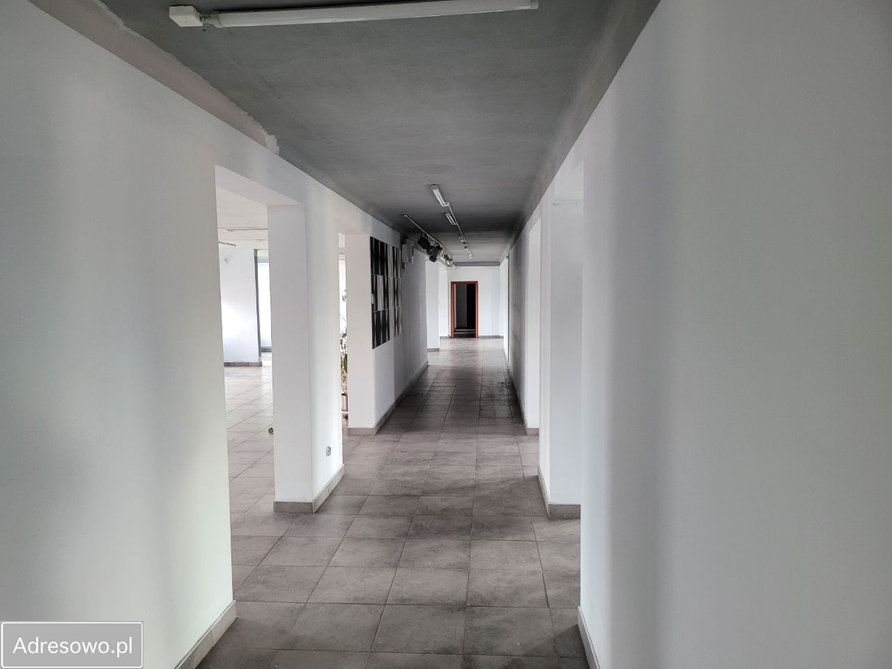 Lokal Ciechanów, ul. Henryka Sienkiewicza. Zdjęcie 13