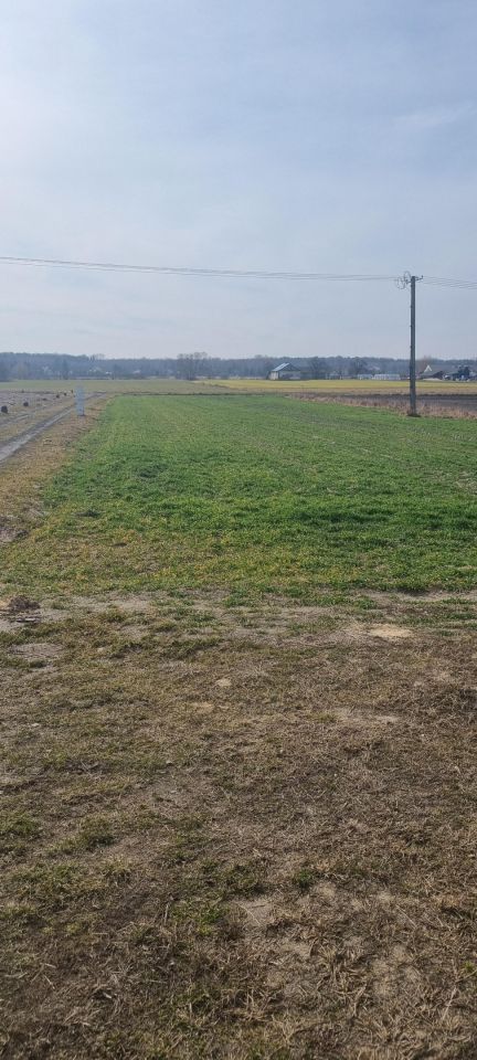 Działka budowlana Kozłówka Sachalin. Zdjęcie 2