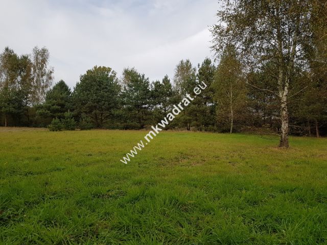 Działka budowlana Radziejowice-Parcel. Zdjęcie 3