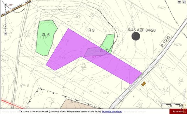 Działka rolna Przezdrowice. Zdjęcie 3